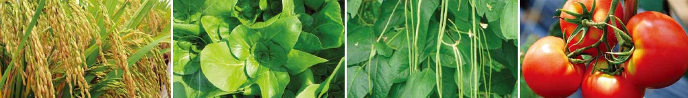 ����(n��i)��