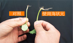 ʹ�ú���Ԫ����