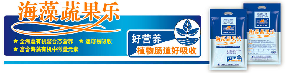 �����߹���