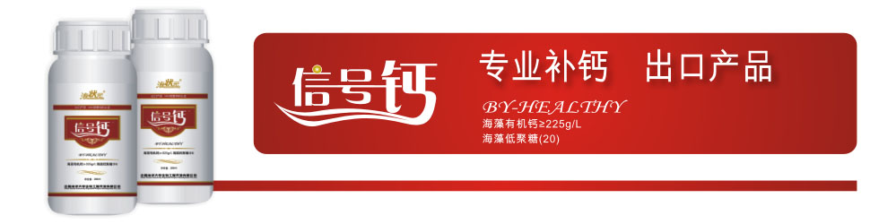 ��̖(h��o)�}