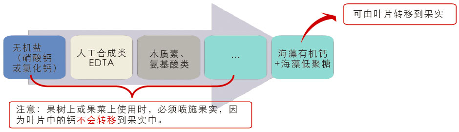 �����ЙC(j��)�}�c�����}�ʵą^(q��)�e