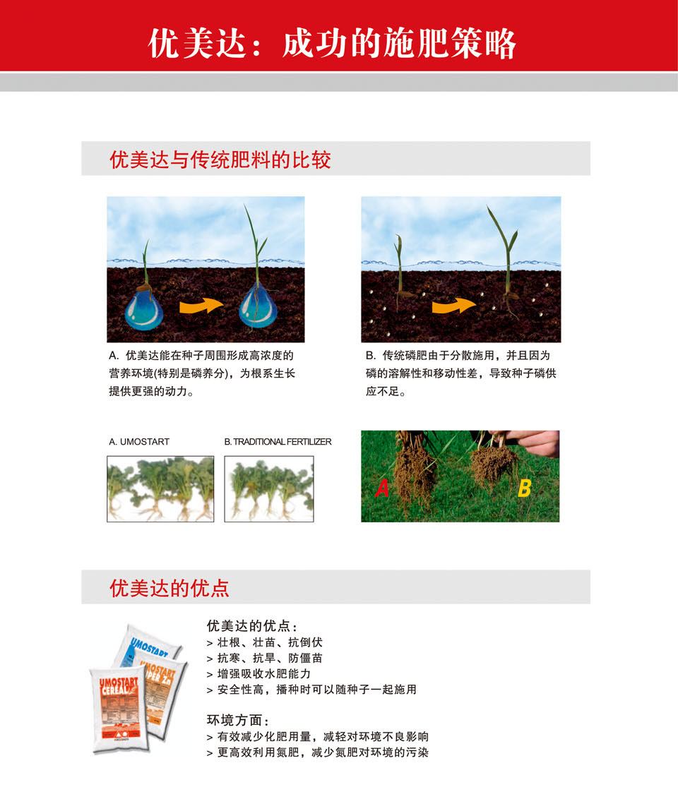 ��(y��u)���_(d��)